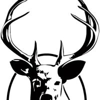 The Deerwood Group ico
