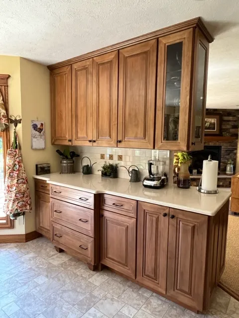 Kitchen Lady Picture 7