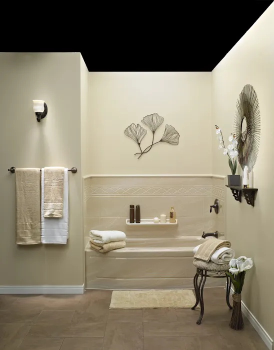 BATH FITTER Picture 1