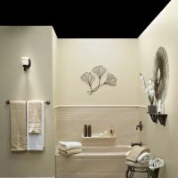 BATH FITTER ico