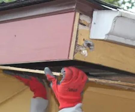 Rent-A-Husband Handyman and Construction Services