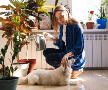 The Best Tips for Keeping Pets Safe During Remodeling Projects