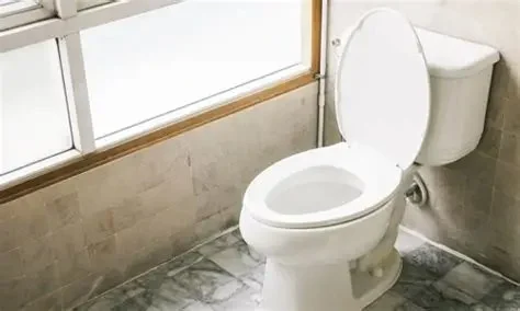 The Benefits of Low-Flow Toilets and Fixtures for Modern Homes