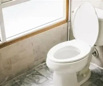 The Benefits of Low-Flow Toilets and Fixtures for Modern Homes
