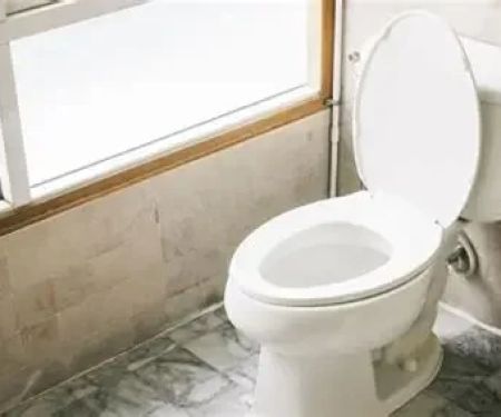 The Benefits of Low-Flow Toilets and Fixtures for Modern Homes