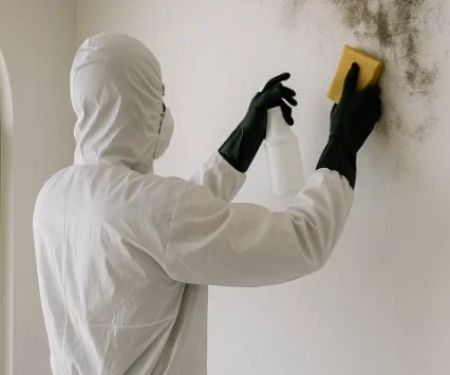 The Benefits of Non-Porous Coatings in Mold Prevention: Expert Insights