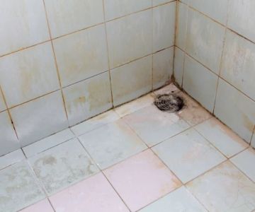 How to Prevent Mold Growth Behind Shower Tiles After a Remodel